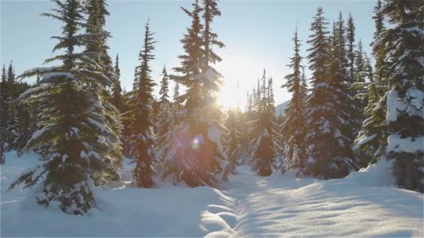 Schöne schneebedeckte Landschaft in der kanadischen Bergnatur — Stockvideo