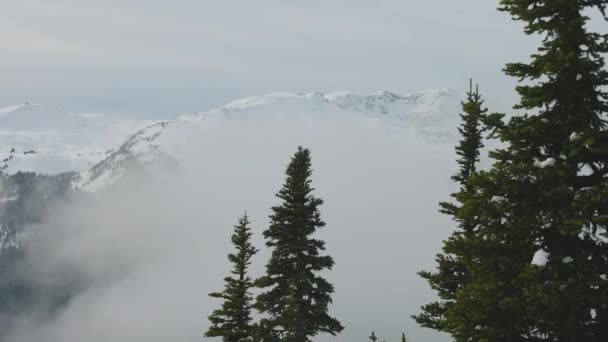 Foresta innevata in cima alle montagne in inverno durante Sunny Morning. — Video Stock