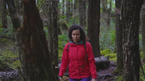 Dívka Turistika na stezce v deštném pralese během deštivé zimní sezóny. — Stock video