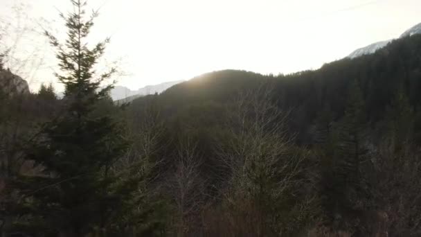 Vue Aérienne Du Beau Paysage Canadien De Montagne. — Video