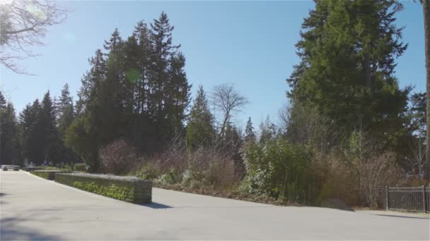 Прекрасный солнечный зимний день в знаменитом парке Стэнли — стоковое видео