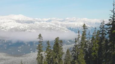 Karlı Orman kışın dağların tepesinde Güneşli Sabah boyunca.