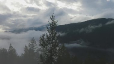 Kanada Dağ Manzarası Dramatik Doğa Panoramik Görünümü