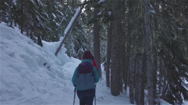 Przygoda Dziewczyna Przyjaciele Turystyka w Canadian Mountain Nature — Wideo stockowe