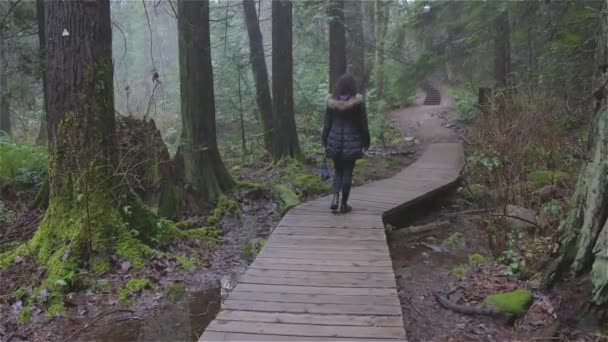Ragazza che cammina nella foresta pluviale canadese — Video Stock