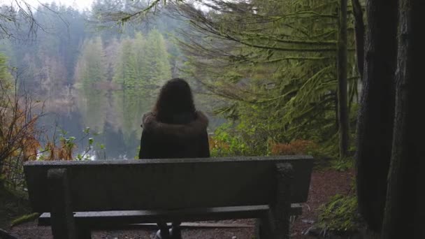 Menina caminhando na floresta tropical canadense — Vídeo de Stock