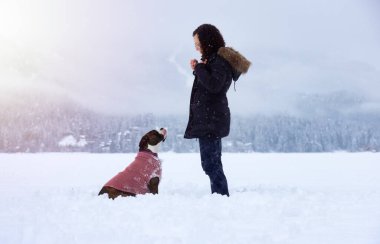 Sevimli boksör köpeği karlı havada sahibiyle oynuyor.