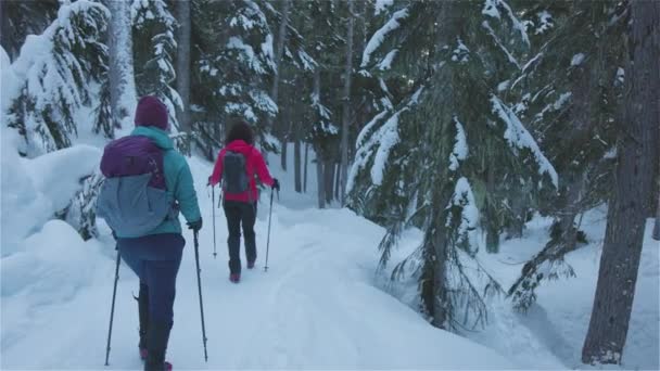 Przygoda Dziewczyna Przyjaciele Turystyka w Canadian Mountain Nature — Wideo stockowe