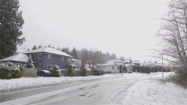 Huzurlu bir mahallede Residential Street View. — Stok video