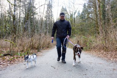 Yürüyüş yolunda köpekleri gezdiren adam.