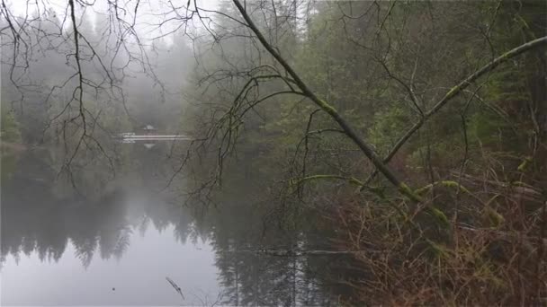 Vacker utsikt över Rice Lake — Stockvideo