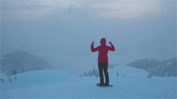Menina de aventura com sapatos de neve Caminhadas no topo da montanha — Vídeo de Stock