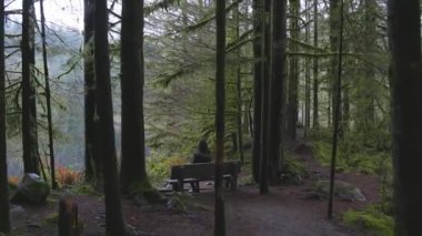 Kanada Yağmur Ormanında Yürüyen Kız