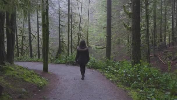 Mädchen spazieren im kanadischen Regenwald — Stockvideo