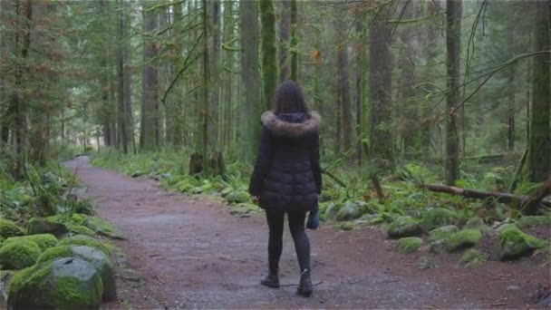 Ragazza che cammina nella foresta pluviale canadese — Video Stock