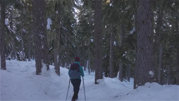 Adventure Girl Vrienden Wandelen in de Canadese Mountain Nature — Stockvideo