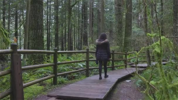 Mädchen spazieren im kanadischen Regenwald — Stockvideo