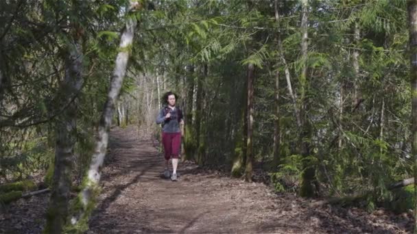 Caucasian Woman Trail Running in the Green Forest — Stock Video