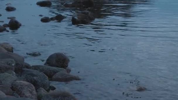 Whytecliff Park, Horseshoe Bay, Западный Ванкувер, Британская Колумбия, Канада — стоковое видео