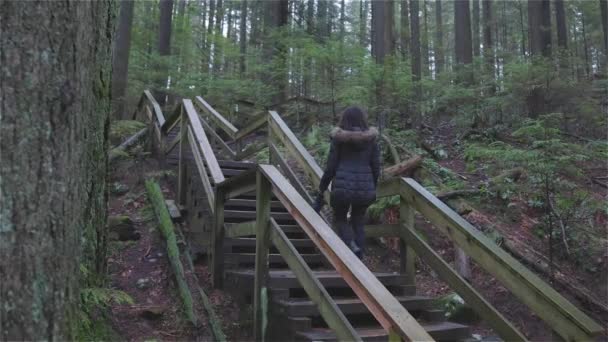 カナダの雨の森を歩く女の子 — ストック動画