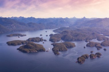 Vancouver Adası 'ndaki batı kıyısının havadan görüntüsü..