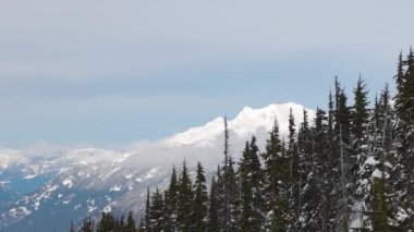 Karlı Orman kışın dağların tepesinde Güneşli Sabah boyunca.