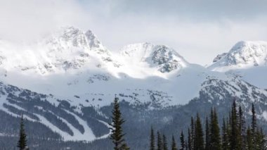 Karlı Orman kışın dağların tepesinde Güneşli Sabah boyunca.