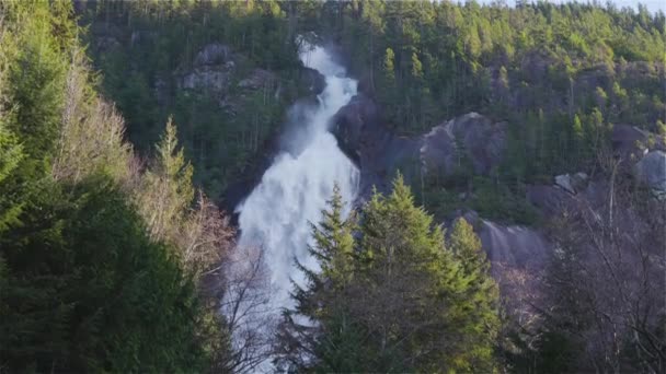 Pohled na Shannon Falls a vodu řítící se kaňonem — Stock video
