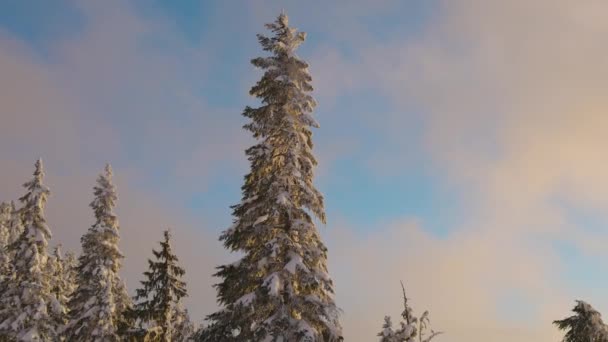 Vista panorâmica da paisagem natural canadense — Vídeo de Stock