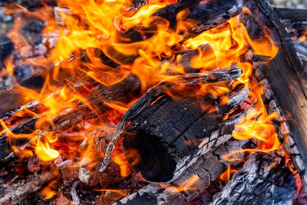 Kamp ateşinde yanan odunların resmini kapat. — Stok fotoğraf