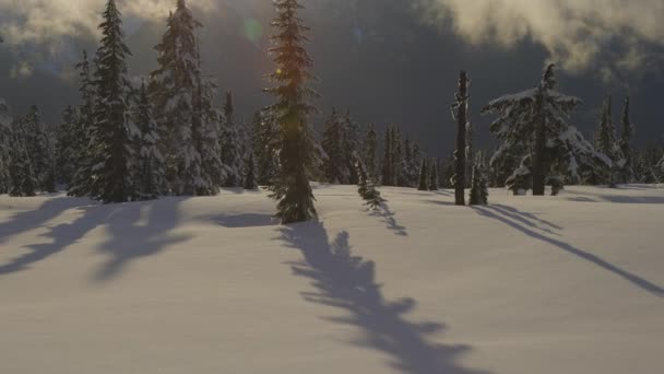 Uitzicht op het Canadese natuurlandschap op de top van een besneeuwde berg — Stockvideo