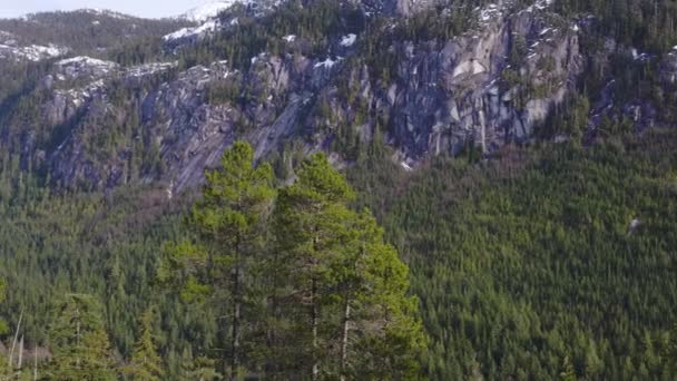 Vista panorámica del paisaje montañoso canadiense — Vídeo de stock