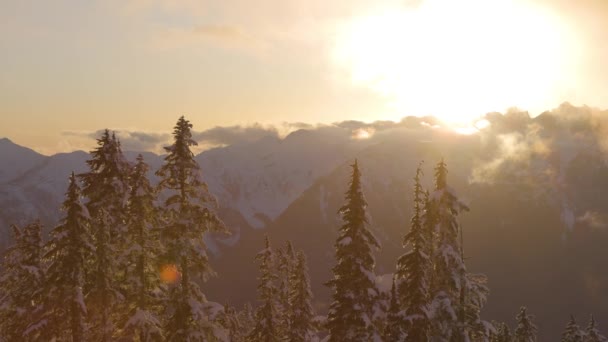 Vista panorámica del paisaje natural canadiense — Vídeo de stock