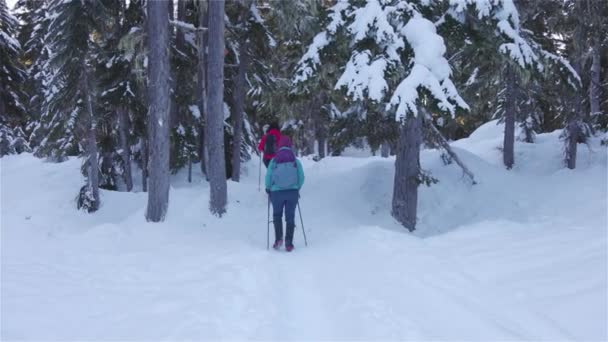 Adventure Girl Friends Caminhadas na natureza da montanha canadense — Vídeo de Stock