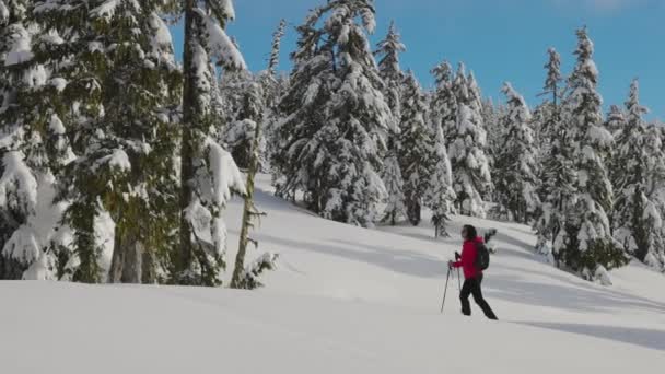 Maceracı Kadın Kanada Dağları 'nın tepesinde yürüyüş yapıyor — Stok video
