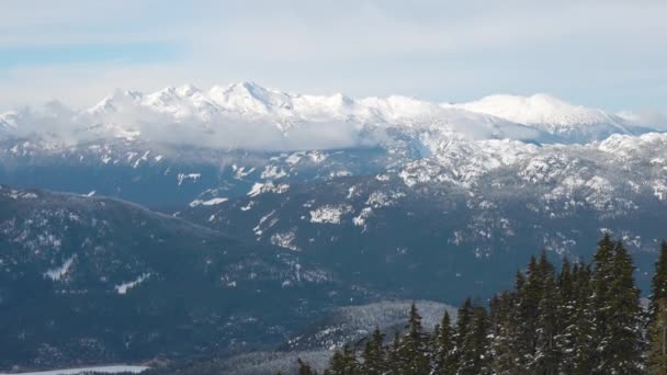 Foresta innevata in cima alle montagne in inverno durante Sunny Morning. — Video Stock