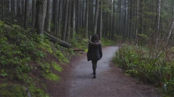 캐나다의 강우림에서 걷는 소녀 — 비디오