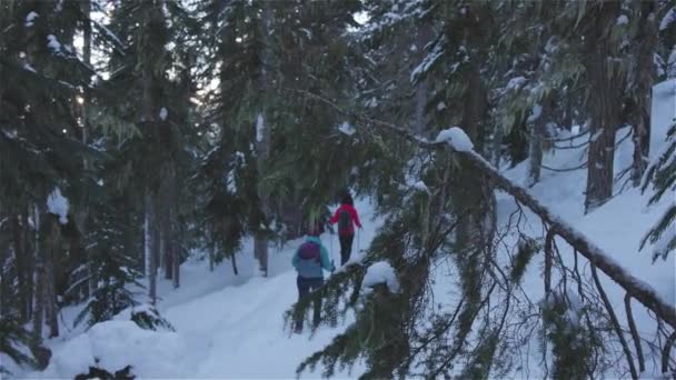 Adventure Girl Vrienden Wandelen in de Canadese Mountain Nature — Stockvideo