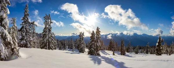 Pohled na kanadskou přírodní krajinu na vrcholu zasněžené hory — Stock fotografie