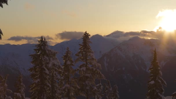 Panoramautsikt över kanadensiska naturen Landskap — Stockvideo