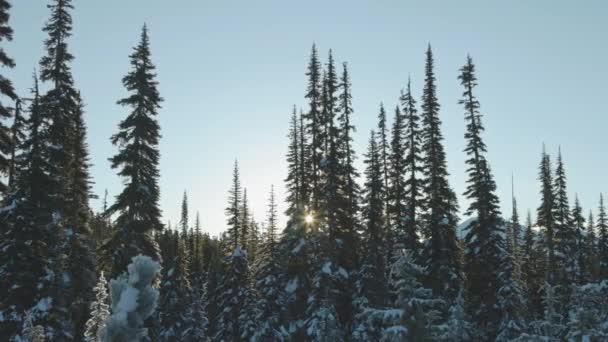 Piękny krajobraz pokryty śniegiem w Canadian Mountain Nature — Wideo stockowe