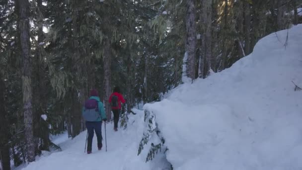 Adventure Girl Friends Randonnée dans la nature montagnarde canadienne — Video