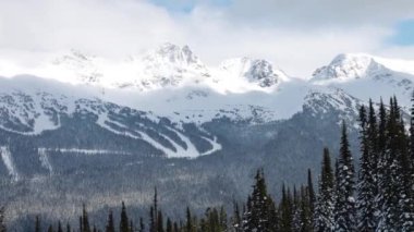 Karlı Orman kışın dağların tepesinde Güneşli Sabah boyunca.