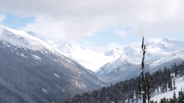 Snowy Las na szczycie gór zimą w słoneczny poranek. — Wideo stockowe