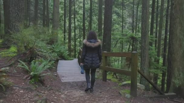 Ragazza che cammina nella foresta pluviale canadese — Video Stock