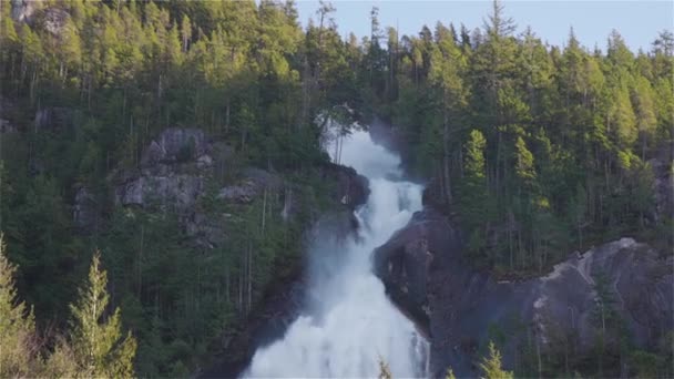 Θέα του Shannon Falls και το νερό σπεύδουν κάτω από το φαράγγι — Αρχείο Βίντεο