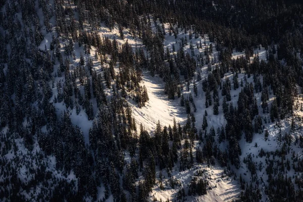 Aerial View from Airplane of Snow Covered Canadian Mountain Landscape — Stock Photo, Image