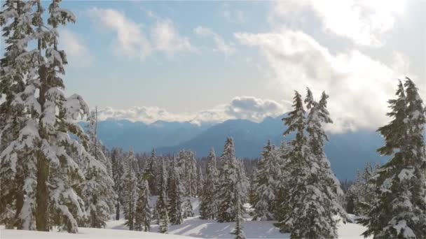 Karla kaplı dağın tepesindeki Kanada Doğa Manzarası — Stok video