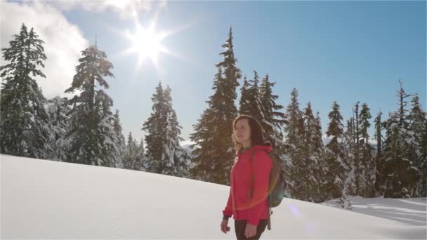 캐나다 산 정상에서 하이킹하는 모험적 인 여자 — 비디오