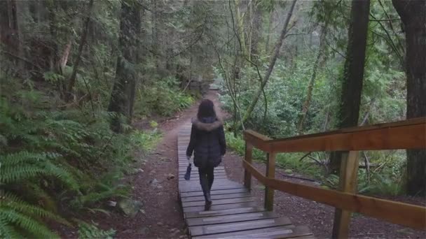 Lány sétál a kanadai esőerdőben — Stock videók